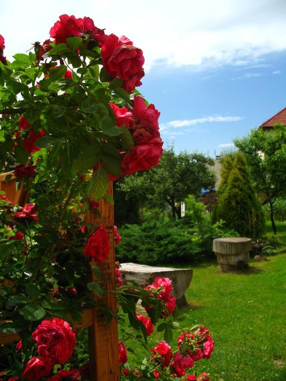 Pensjonat B&B Nad Rudawa Краків Екстер'єр фото